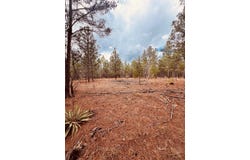 Simmons Road, Mauk, GA 31058