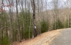 251 ARTHUR LANE, DANIELS, WV 25832