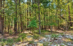 TBD (60) Manfred Road, Norman, AR 71960