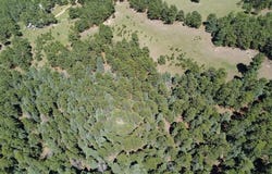 10940 Bartlett Trail, Rye, CO 81069