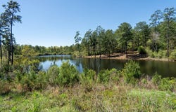 Black Squirrel Road E, Brookeland, TX 75931