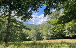 Long Branch Road, Lansing, NC 28643