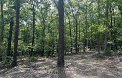 NC 2909 lot: 0, Marble Falls, AR 72648