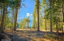 NKA Frontage Rd, Clark Fork, ID 83811