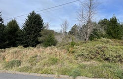 35 Debbie Lane, Whitethorn, CA 95589