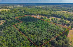 CR 4153, Pittsburg, TX 75686