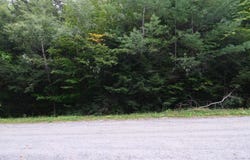 Bear Ridge Road, Ludlow, VT 05149