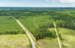 Tract E Ten Acre Rd., Andrews, SC 29510