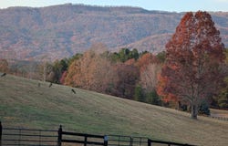 River Park Lane, Mill Spring, NC 28756