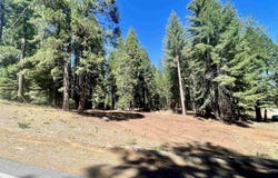601 Deep Forest Road lot: 1, Lake Almanor, CA 96137