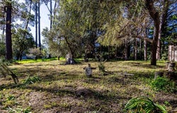 Spencer Street, Cambria, CA 93428