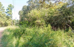 13234 Mountain View Rd S, Winona, TX 75792