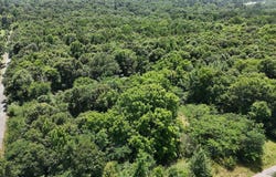 Polk Road 283, Hatfield, AR 71945