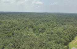T K Lane, Pontotoc, MS 38863