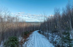 Higley Hill lot: #4, Dover, VT 05356