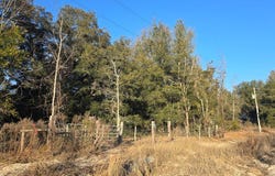 82nd St, Trenton, FL 32693