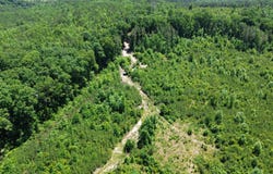 County Road 42, Hamilton, AL 35570