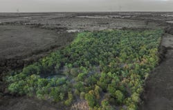 295 Hcr 3240, Mount Calm, TX 76673