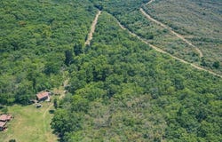 WHISENANT ROAD, ATTALLA, AL 35954