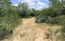 Fm 791, Campbellton, TX 78008