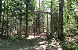 3232 W KENNETH RD, MORAN, MI 49760