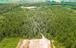 80 AC CR 455, Carthage, TX 75633