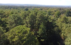 Liberty Road, Ozark, AR 72949