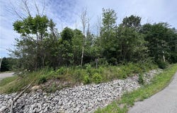 Stagecoach Road, Conesus, NY 14435
