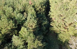 1690 FM 1751, San Augustine, TX 75972