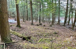 202 Melick, Root, NY 13317