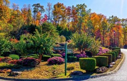 High Pines Loop, Lake Lure, NC 28746