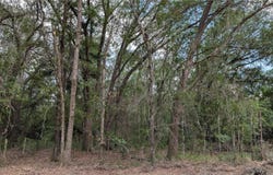 NE 108TH Place, WALDO, FL 32694