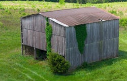 Montgomery Road, Auburn, KY 42206