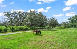 2239 SE 112TH Avenue, WEBSTER, FL 33597