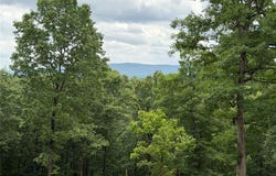 146 NC 3920, Marble Falls, AR 72648
