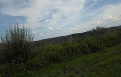 Ivy Creek, Ivel, KY 41642