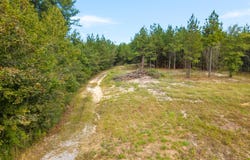 420 Old Highway 49, Hattiesburg, MS 39401