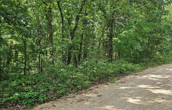 County Road 4050, Salem, MO 65560