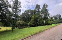 5TH AVENUE lot: 1.6 Acres, ASHLAND, AL 36251