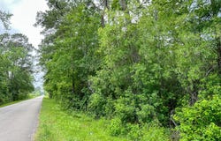 000000 Cravens Camp Rd., Silsbee, TX 77656