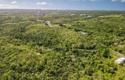 PR4459 Ceiba Alta, Aguadilla, 00603