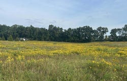 0 V/L Warner Road, Concord, MI 49237