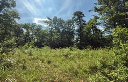 Carter, Solsberry, IN 47459