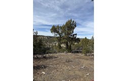 J8 Road, Mancos, CO 81328