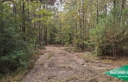 FM 62, Corrigan, TX 75939