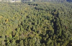 105 Acs Ashton Road, Victoria, VA 23974