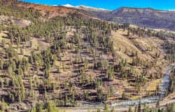 5520 Hwy 95, New Meadows, ID 83654