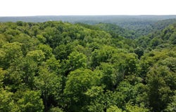 on Gage Road, Munising, MI 49862
