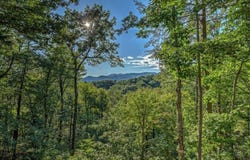 20 Smith Hill Road, Blue Ridge, GA 30513