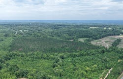 NC 14 HW lot: 2, Reidsville, NC 27320